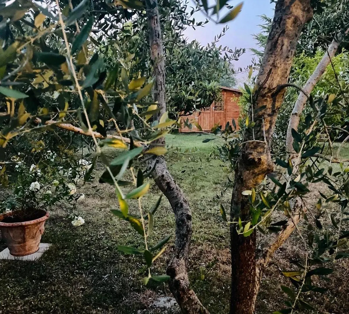 Rosso Del Chianti Bed & Breakfast Panzano in Chianti