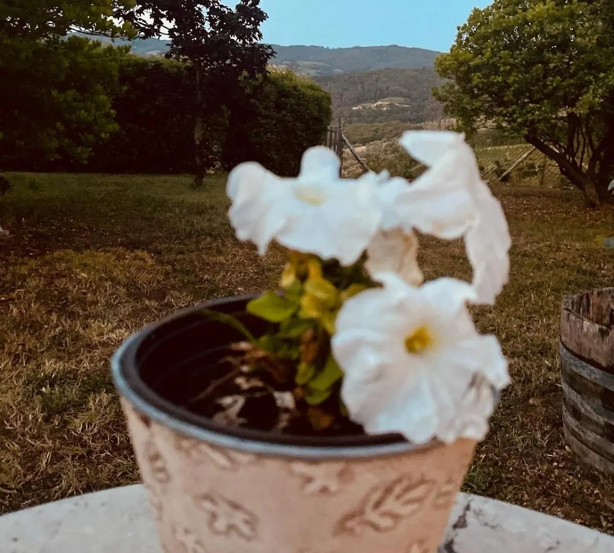 Rosso Del Chianti Bed & Breakfast Panzano in Chianti 0*,  Italy